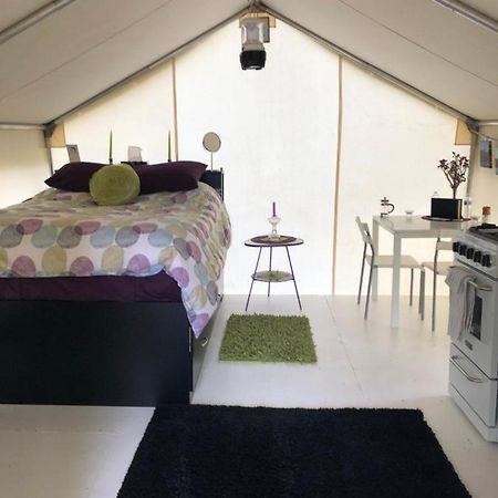 Vines And Puppies Glamping Hideaway Hotel Jade City Bagian luar foto