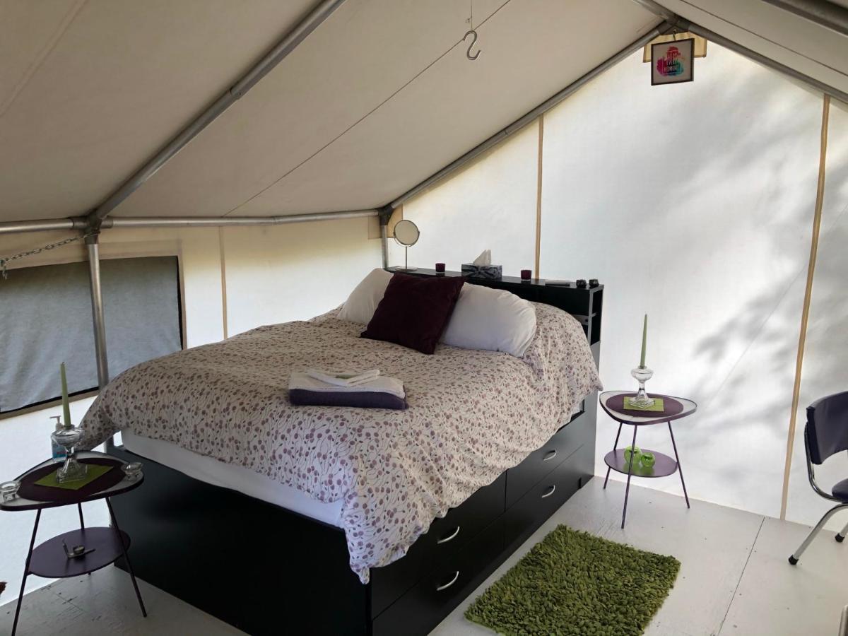 Vines And Puppies Glamping Hideaway Hotel Jade City Bagian luar foto